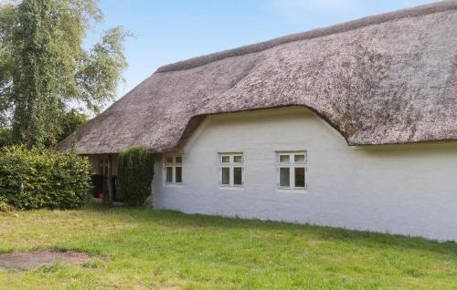 a white house with a thatched roof at Nice Home In Janderup Vestj With Sauna in Billum