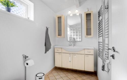 a bathroom with a sink and a mirror at Stunning Home In Middelfart With Wifi in Middelfart