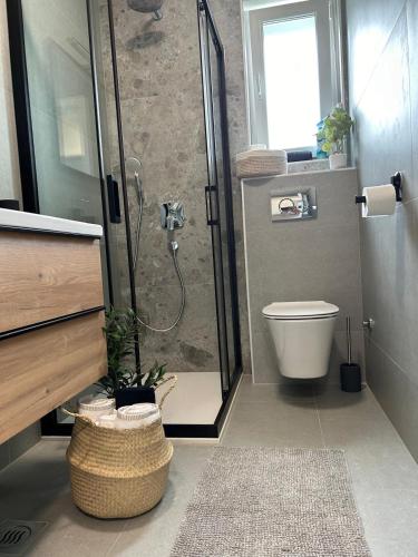 a bathroom with a shower with a toilet and a sink at Luxury apartment Terracotta Sun with private Jacuzzi and Garden in Novalja