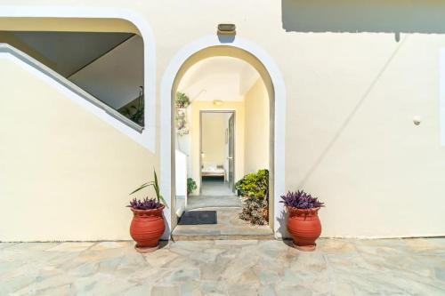 an entrance to a white building with two large flower pots at Olga Apartments in Agios Georgios