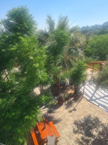 Gallery image of SPITIKARIOTIKO Pergola Home in Raches