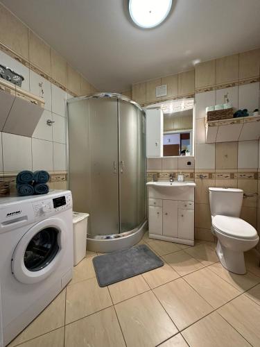 a bathroom with a washing machine and a toilet at Chillout u Oli Apartament nad samym jeziorem in Ostróda