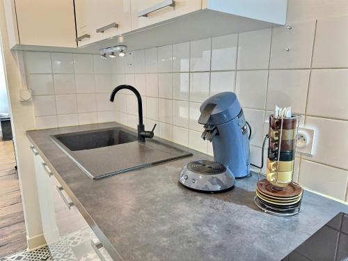 un comptoir de cuisine avec un évier et un mitigeur dans l'établissement Wonderhost, superbes volumes et charme de l'ancien, à Pau