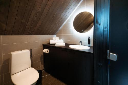 ロヴァニエミにあるApukka Resortのトイレと洗面台のあるバスルーム