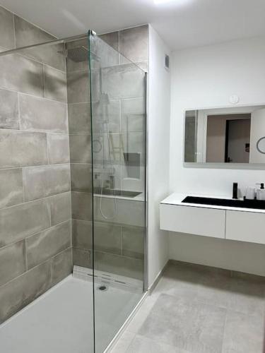 une salle de bain avec une douche en verre et un lavabo dans l'établissement Spacieux Appartement de 73 m2 en plein centre-ville d'Evian avec 2 chambres, à Évian-les-Bains