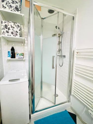 une douche avec une porte vitrée dans une salle de bain dans l'établissement F2 au calme au cœur de Paris 13, à Paris