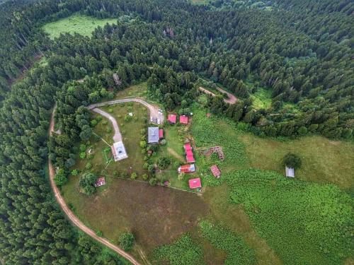 an aerial view of a farm in the middle of a forest at Yavuzyılmaz Tesisleri in Macka