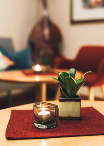 a candle and a potted plant on a table at Apart Matschöl in Serfaus