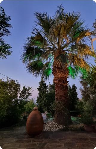 Gallery image of SPITIKARIOTIKO Ikarian Cottage in Raches