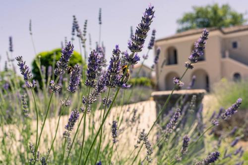 Zahrada ubytování Ayma B&B