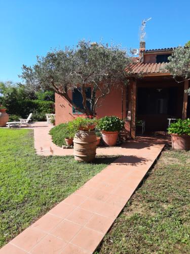 a walkway next to a house with potted plants at Casa Celeste in Albinia