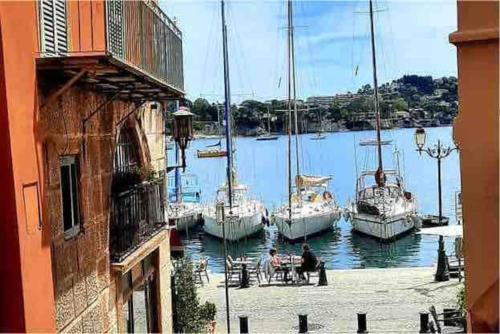 a group of boats are docked in a harbor at Petit cocon in Villefranche-sur-Mer