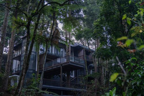 a building in the woods with trees at Plataran Puncak Residences in Puncak