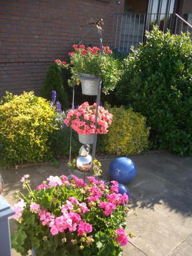 a flower garden with a basket of flowers at "Neubau-DHH" in Heringsdorf