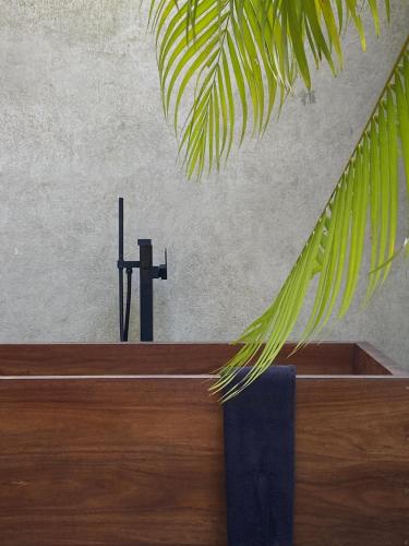 a bathroom with a sink with a faucet and a plant at KAJU GREEN eco lodges in Unawatuna
