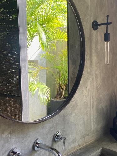 a bathroom mirror with a sink and a plant at KAJU GREEN eco lodges in Unawatuna