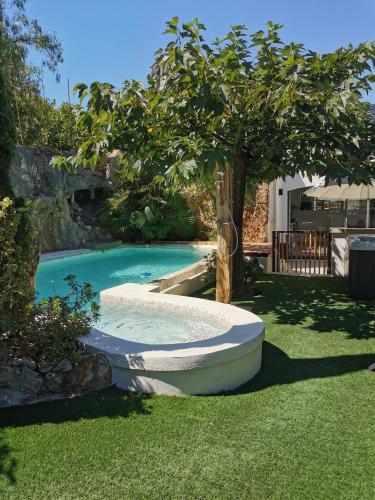 une petite piscine avec un arbre dans une cour dans l'établissement Casa Louise - Piscine et jacuzzi privatifs, à Sainte-Maxime