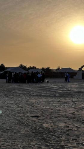a group of cows standing in a field at sunset at Camp Dunes Insolites Sabria in Sabria