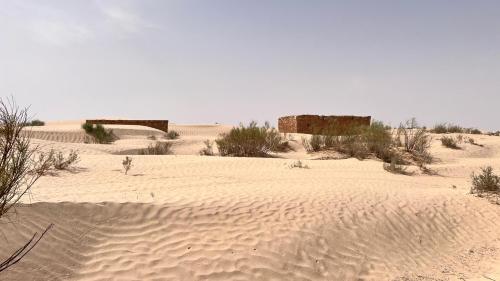 a person standing in the sand in the desert at Camp Dunes Insolites Sabria in Sabria