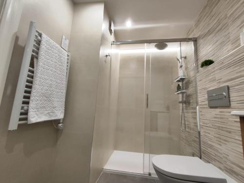 オビエドにあるPiso del Paraísoのトイレとシャワー付きのバスルーム