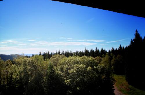 a view of a forest with trees and a blue sky at Pension H in Jáchymov