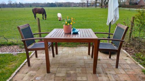 Κήπος έξω από το Bed and Breakfast Hammerhoeve
