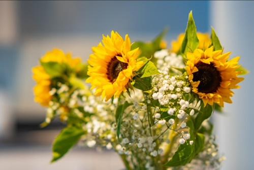 a vase filled with yellow sunflowers and other flowers at Two bedroom Newcastle City Quayside Apartment in Newcastle upon Tyne