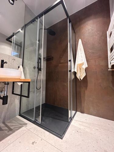 eine Glasdusche im Bad mit Waschbecken in der Unterkunft Apartament Katowice Tysiąclecie in Kattowitz
