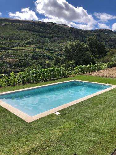 a swimming pool in the middle of a grass field at Quinta do Enxertado in Vila Real
