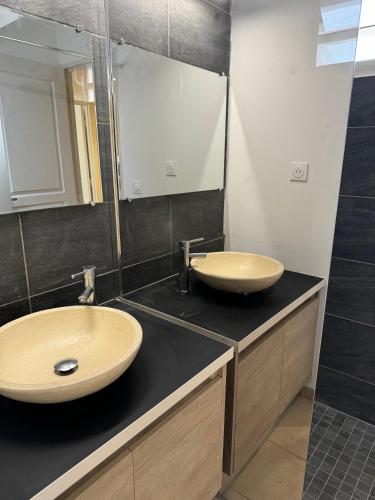 a bathroom with two sinks and a mirror at Appartement F2 résidence calme avec piscine SAINT-ANDRE in Saint-André