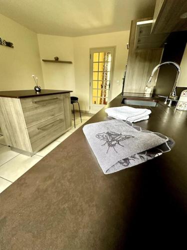 une cuisine avec un comptoir en bois et un évier dans l'établissement Maison de campagne proche Vichy, à Saint-Étienne-de-Vicq