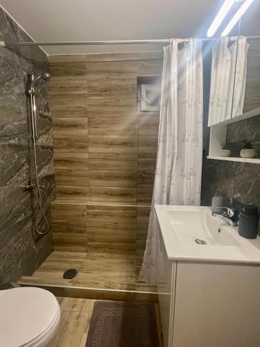 a bathroom with a shower and a toilet and a sink at Cinque Stelle Apartments in Glífa