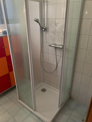 a shower with a glass door in a bathroom at Ferienwohnung Familie Kampl in Frauenstein