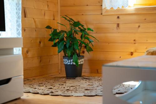 Фотография из галереи Holiday Home MIA в Риека-Црноевиче