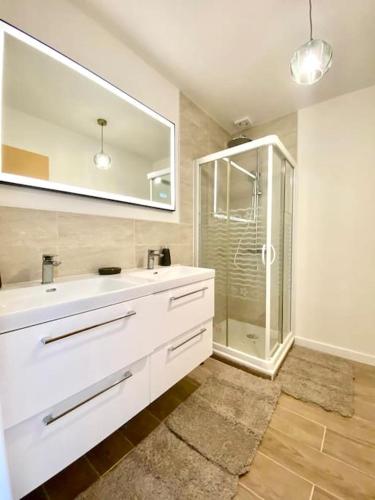 une salle de bain avec un lavabo blanc et une douche dans l'établissement LE BALI - Superbe appartement 6 personnes - Arrivée autonome, à Vierzon