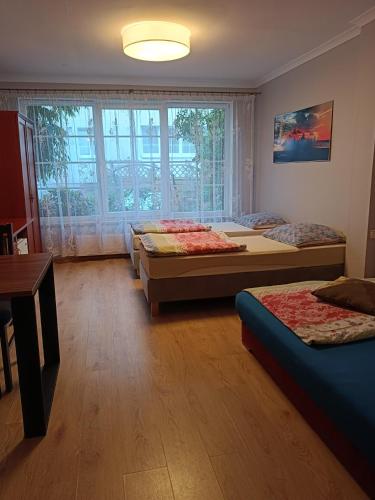 a room with three beds and a window at Pod Jaskółką in Ustka