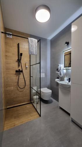 a bathroom with a shower and a toilet and a sink at Katowice Apartamenty Hetmańska 4 in Katowice