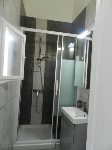 une salle de bain avec douche et lavabo dans l'établissement Sylvie's home, In Panier, Vieux Port in Marseille, à Marseille