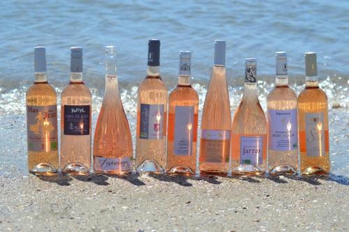 un groupe de bouteilles d'alcool posées sur la plage dans l'établissement Studio Sérénité-La Roquette-Rue très calme, à Arles