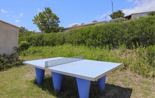 a ping pong table sitting in the grass at Lovely Home In Bessas in Bessas