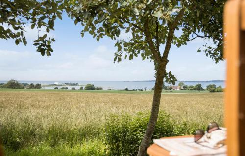 a table under a tree next to a field at 2 Bedroom Stunning Apartment In Faaborg in Fåborg