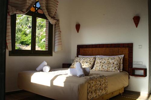 1 dormitorio con 1 cama en una habitación con 2 ventanas en Haven Hills Social Club, en Chefchaouen