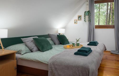 a bedroom with a bed with two green pillows on it at 2 Bedroom Awesome Home In Bobolice in Bobolice