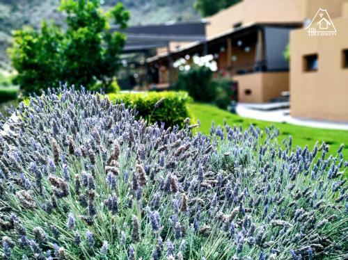 Jardin de l'établissement Hotel Rural El Mondalón