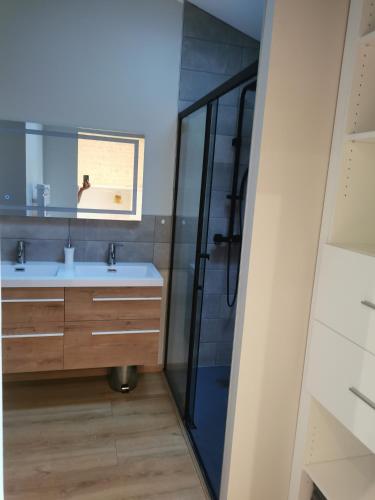 une salle de bain avec un lavabo et une douche dans l'établissement Logement entier à LA CRECHE, à La Crèche