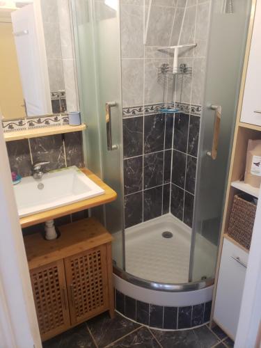 une salle de bain avec douche et lavabo dans l'établissement Yogapart, au Kremlin-Bicêtre