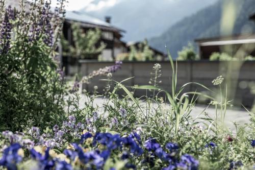 a garden with purple flowers in a yard at Vera Monti in Holzgau