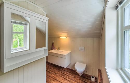 a bathroom with a toilet and a sink and a window at Stunning Home In Vallavik With Wifi in Djønno