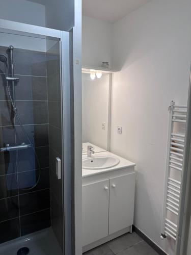 a white bathroom with a sink and a shower at Appartement au centre de Villeurbanne in Villeurbanne
