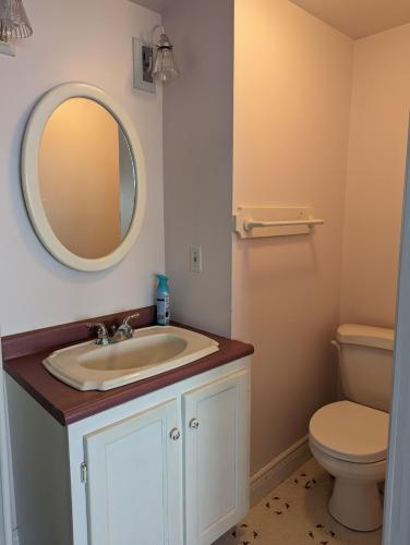 a bathroom with a sink and a toilet and a mirror at East Ferry Bed and Breakfast in Brier and Long Islands